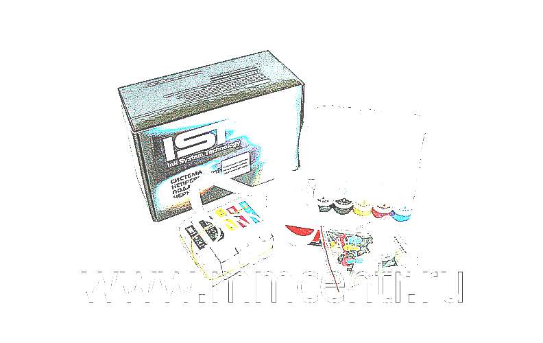 ������� ����������� ������ ������ ����� (����)