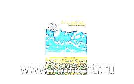 ������ ��� ������ ������ (����)