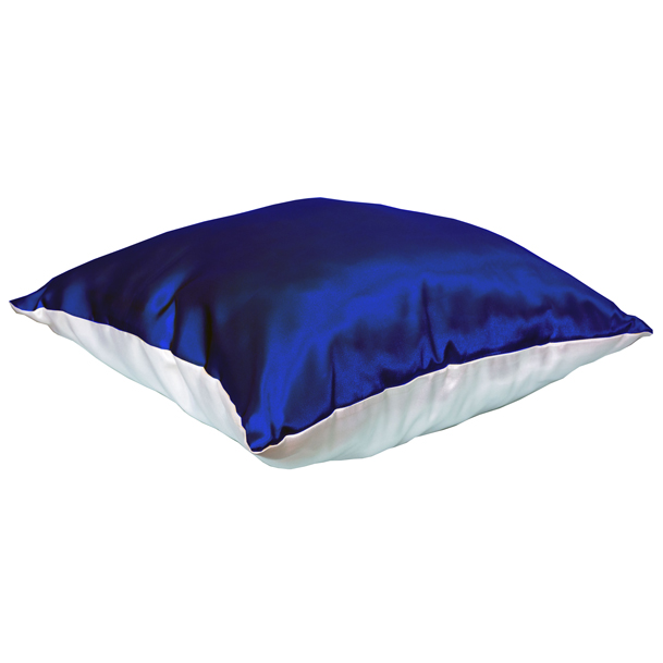 �������� ��������� �������� ����-����� 40�40��